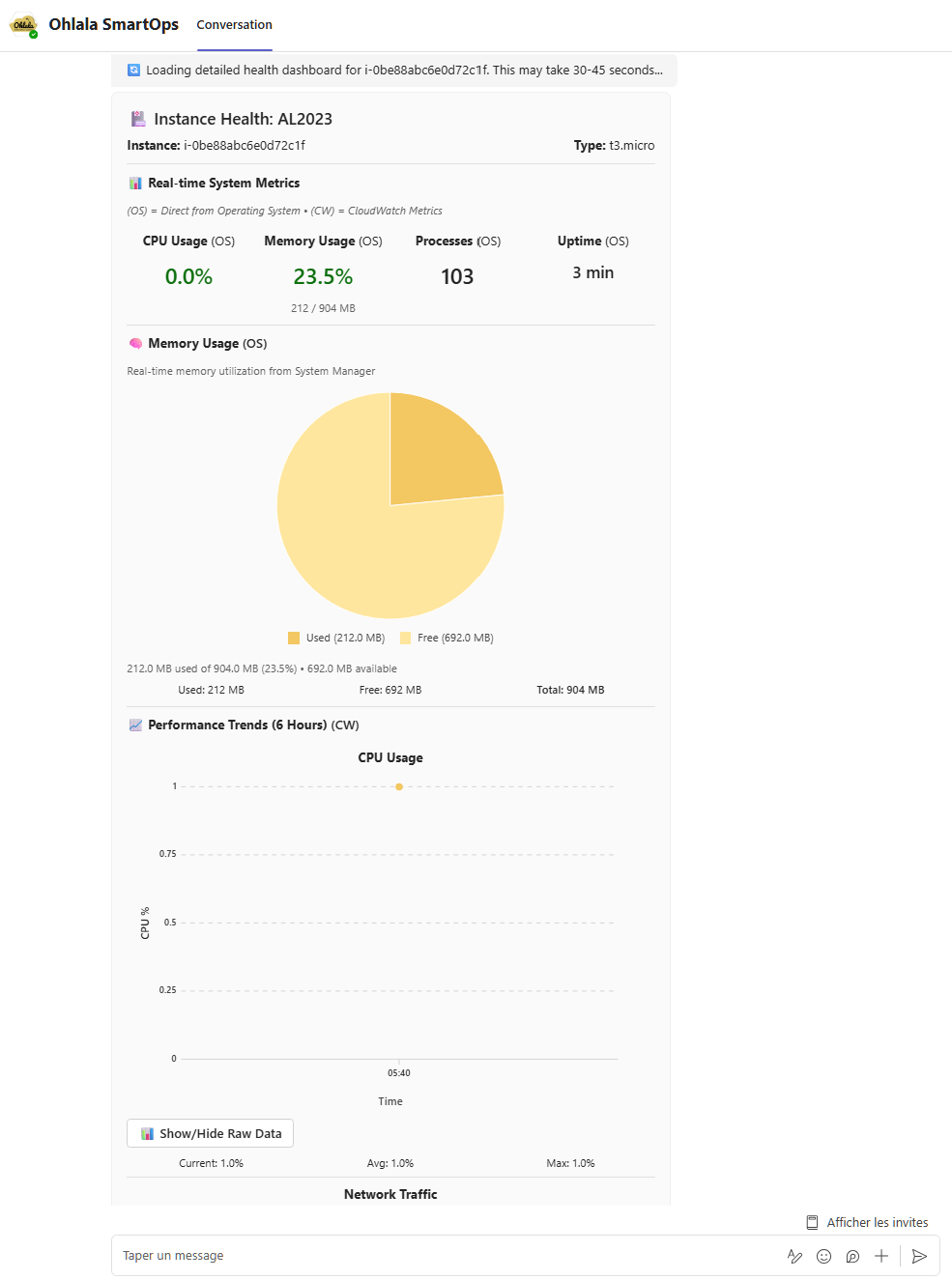 Health command showing detailed instance health metrics and status