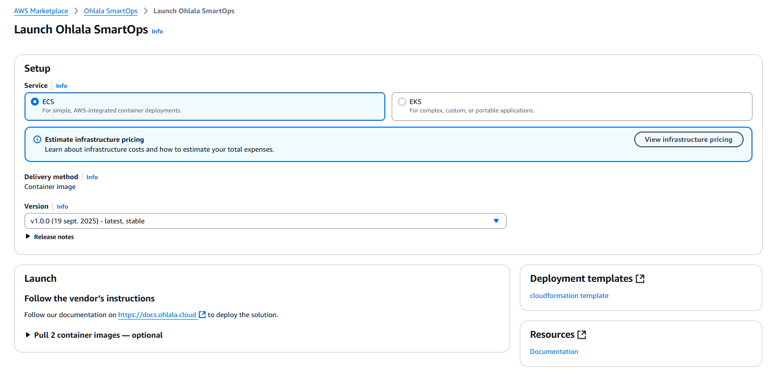 AWS Marketplace launch options page with “cloudformation template” link highlighted